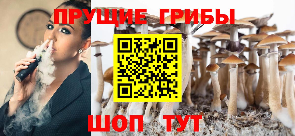 Асбест  Псилоцибиновые грибы Psilocybe  Вход с VPN 